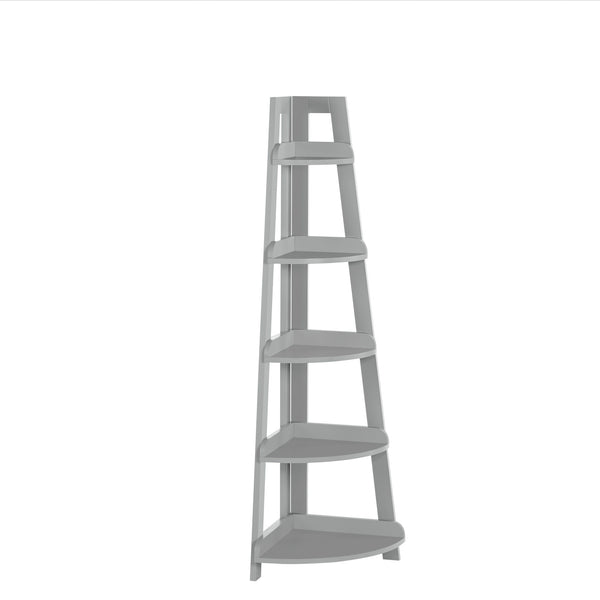 RiverRidge Home Amery 2-Tier Ladder Wall Shelf with Hooks - White