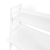 Kids Ladder Shelf Desk