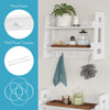 Amery 2-Tier Ladder Wall Shelf with Hooks